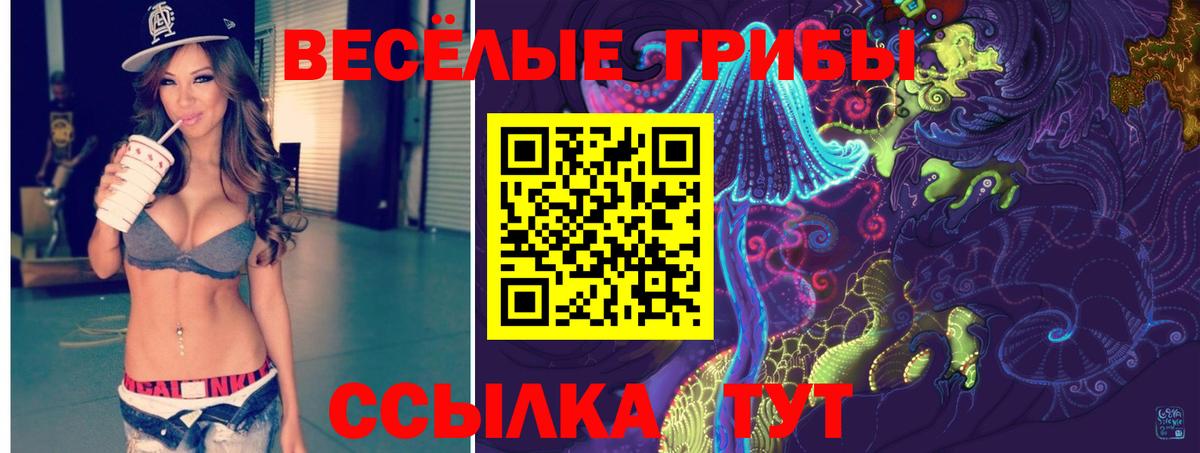 Галлюциногенные грибы Cubensis  где купить наркотик  Галлюциногенные грибы MAGIC MUSHROOMS  Советская Гавань  Вход с VPN 